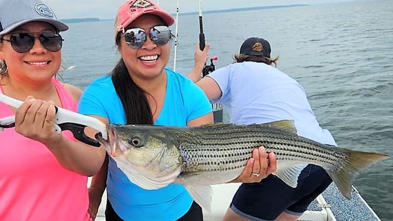 Fishing Charters in Texas | 5HR Afternoon Fishing